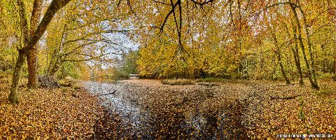 Gemeinde Tarsdorf Bezirk Braunau Huckinger See Herbst Innviertel (Dirschl Johann) Österreich BR